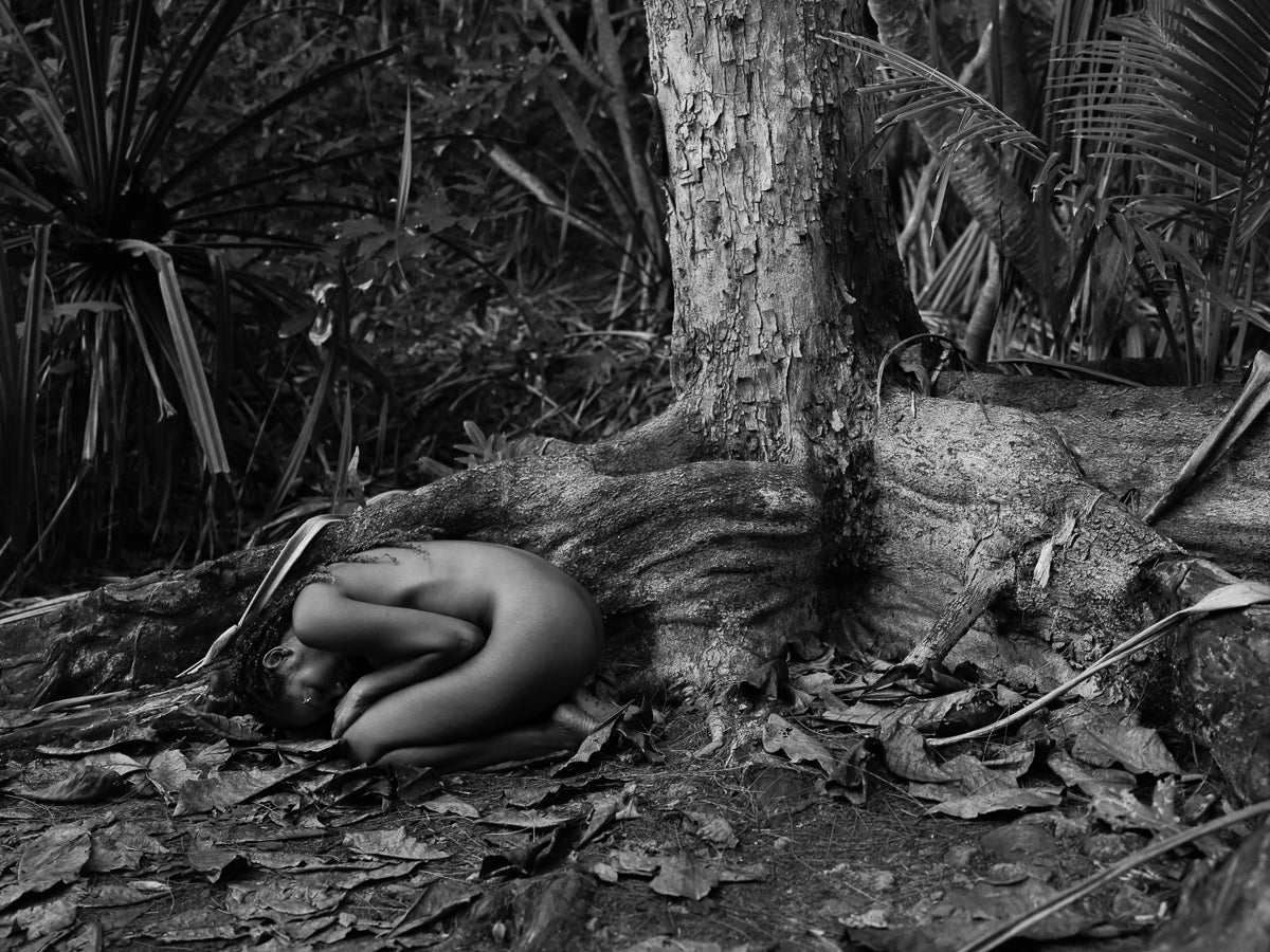 "Roots" Limited Edition Giclée Archival Print