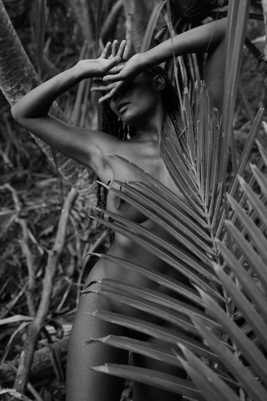 "Palm #1  Limited Edition Giclée Archival Print