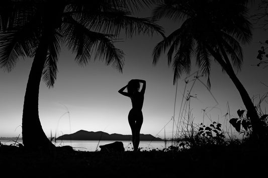 "Silhouette #1" Limited Edition Giclée Archival Print